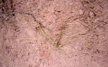 A szálerősítésű beton története