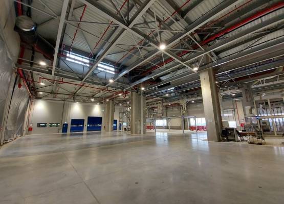 P&G Orange Project - Románia