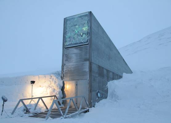Spitzbergák Nemzetközi Magbunker
